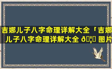 吉娜儿子八字命理详解大全「吉娜儿子八字命理详解大全 🦊 图片」